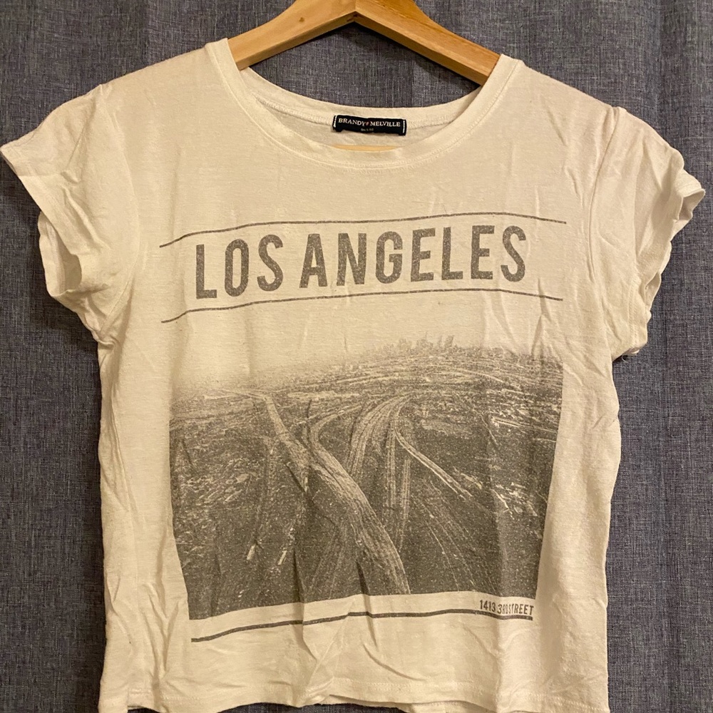 Brandy Melville Crop Top